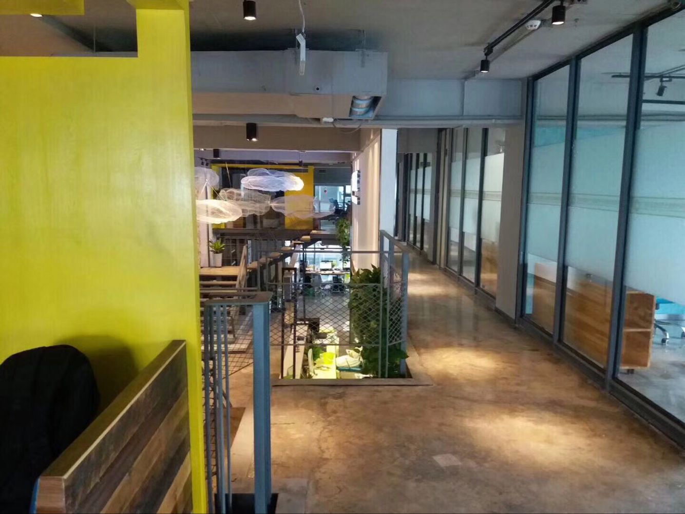 �칫�һ������ŵ�ƺ��