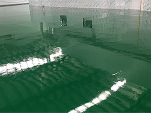 ��ݸĳ���䰸��