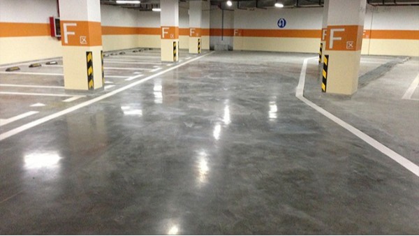 ������ƺ